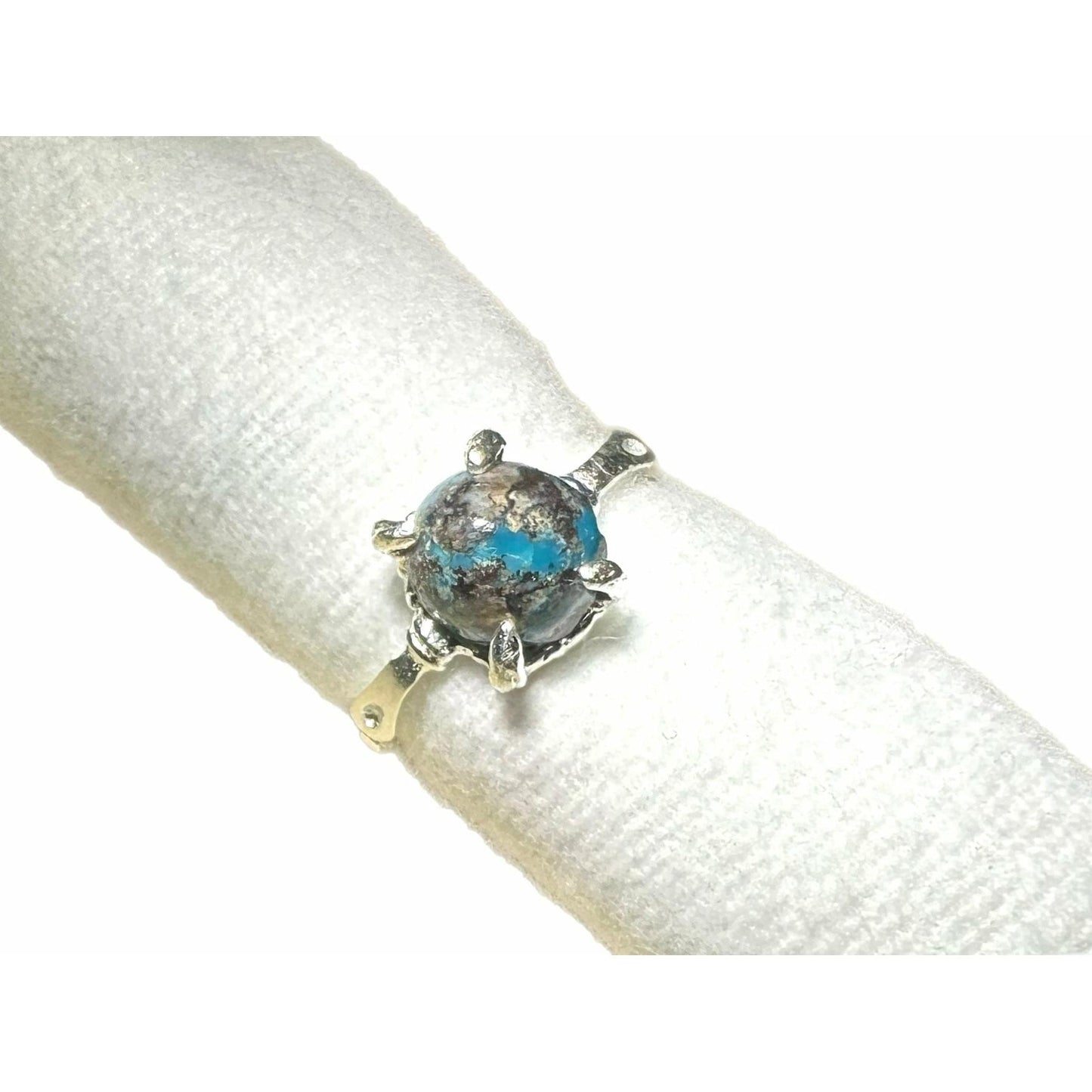 Vilnu ring