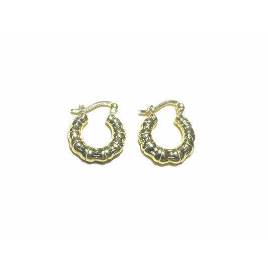 Surina earrings