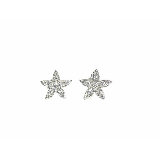 Star earrings
